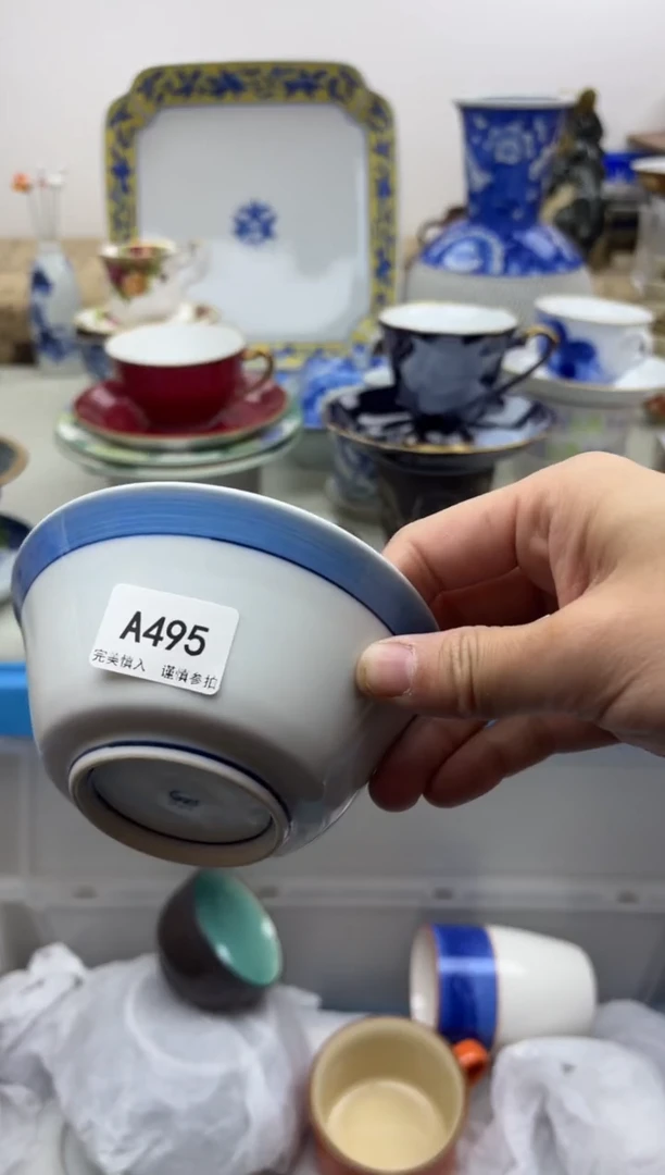 【闪购商品】碟495A.............