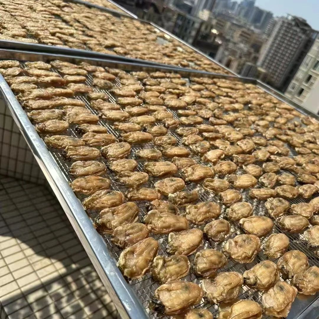 台山生蚝干 蚝豉干 牡蛎干 海产干货