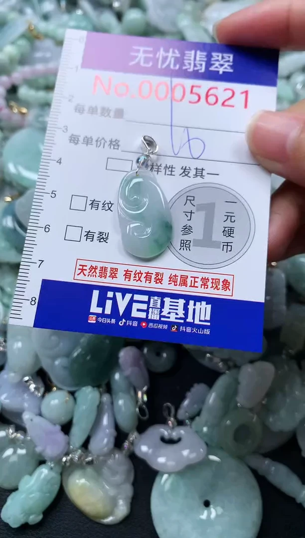 颈饰未镶嵌翡翠5621