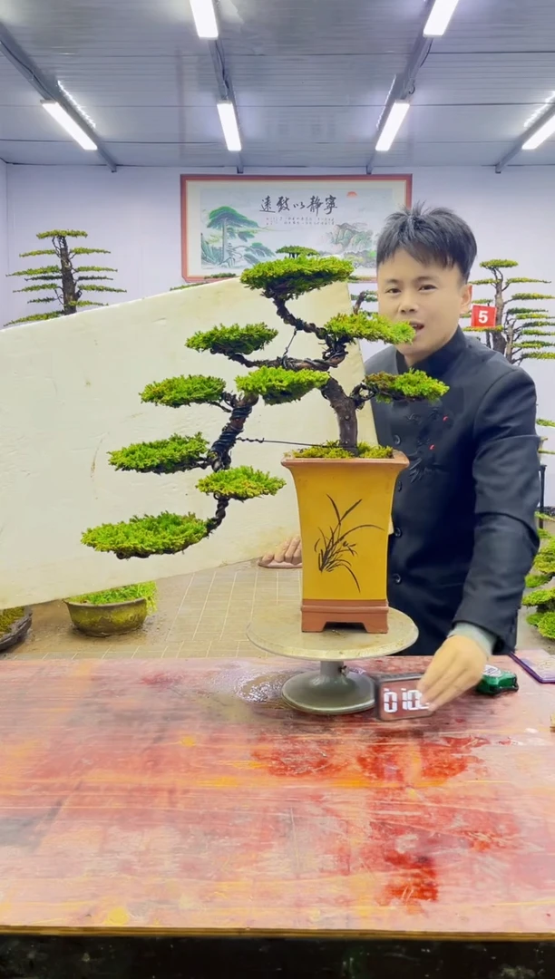 【闪购商品】一物一拍，所见即所得