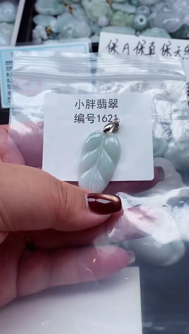 颈饰未镶嵌翡翠缅甸天然A货翡翠1621