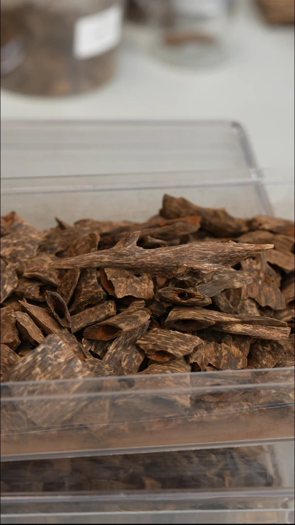 沉香沉香碎屑越南钉壳料5g（形状随机）