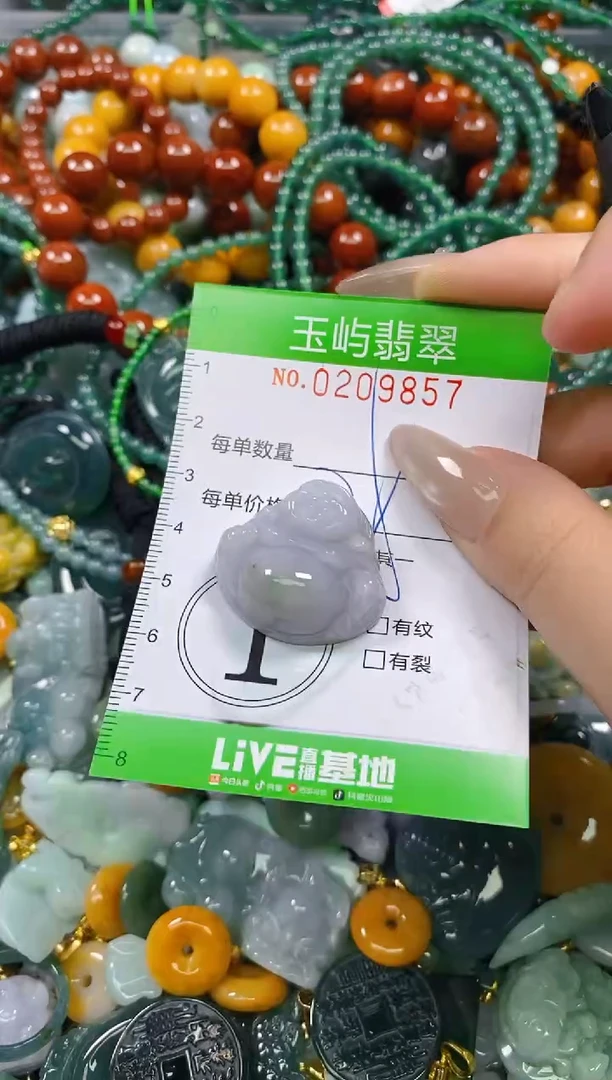 颈饰未镶嵌翡翠闪购0209857