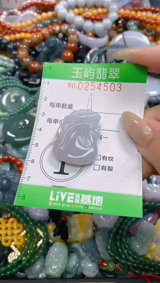 颈饰未镶嵌翡翠闪购0254503