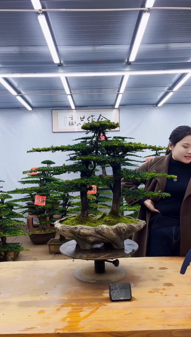 无花朵一物一拍，所见即所得