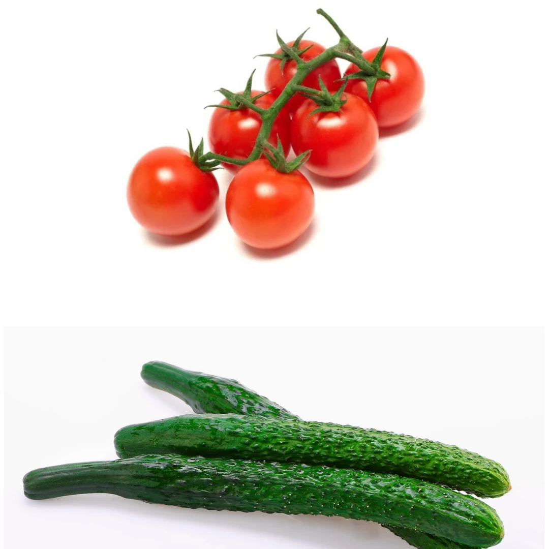 本地生态种植樱桃小番茄2斤➕标榜水果黄瓜2斤，顺丰送货上门。天津市