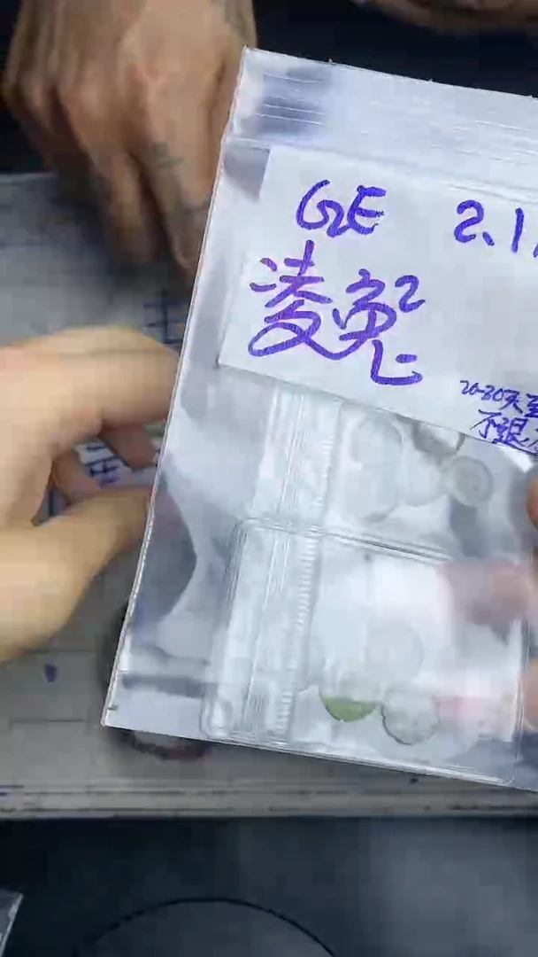 【闪购商品】定制翡翠未镶嵌毛货需精细抛光多样性发货拍一发一