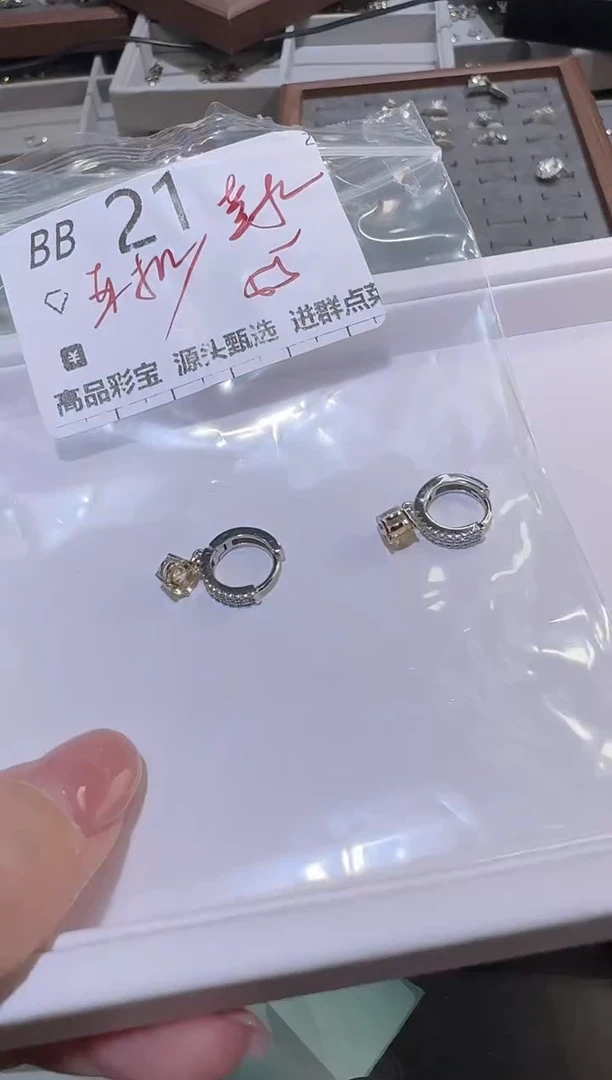 【闪购商品】水晶耳饰银S925镶嵌多样性发一BB21