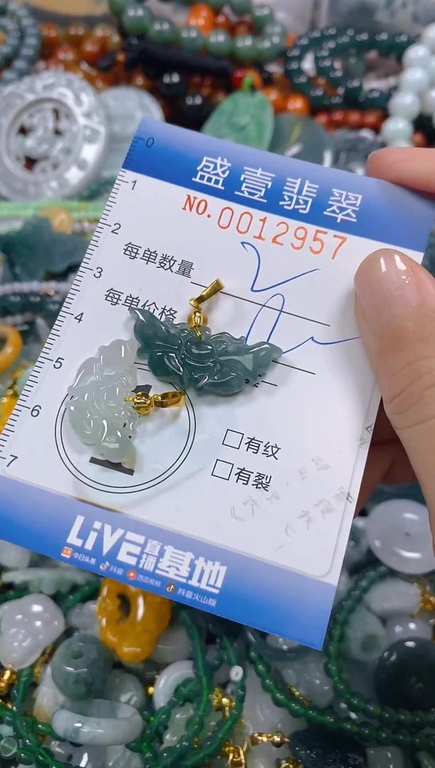 颈饰未镶嵌翡翠闪购0012957