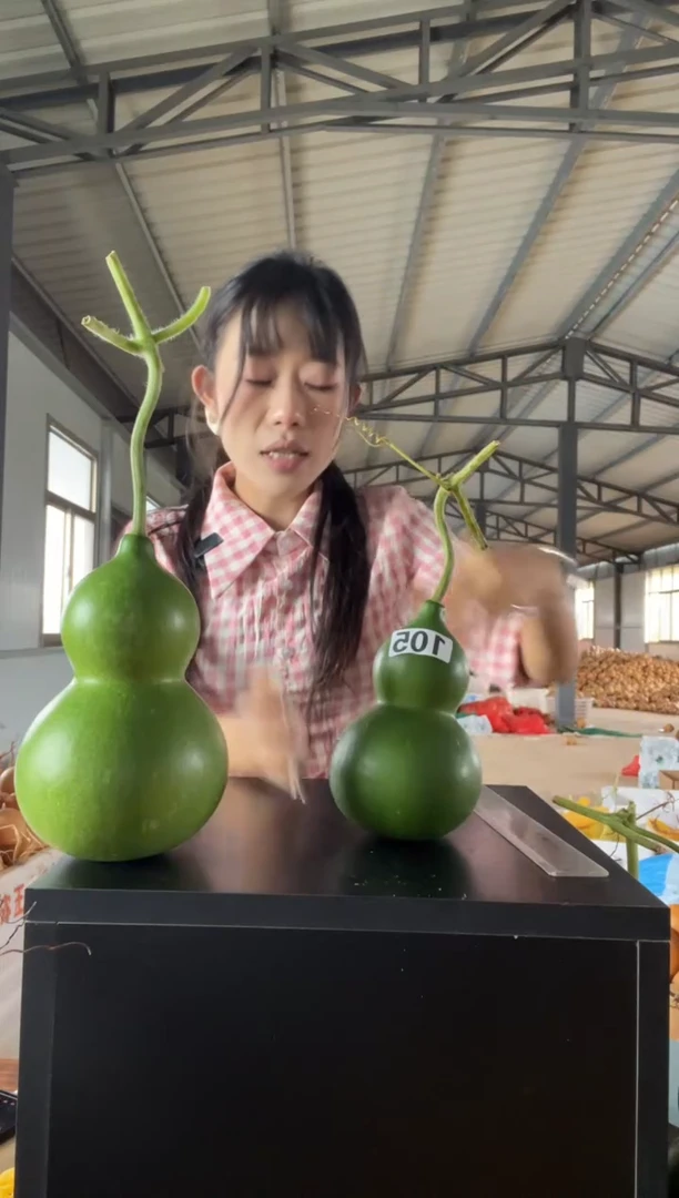 洋**蛋105天然葫芦摆件 一物一拍龙头不保售后