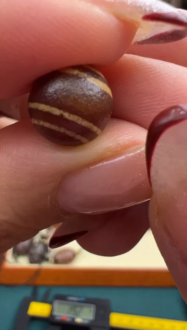 合金颈饰玛瑙/玉髓（覆膜）7.(微瑕随机发货)