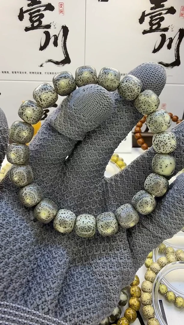 手串星月菩提11/10 满天星 星点货 同枝果 A56