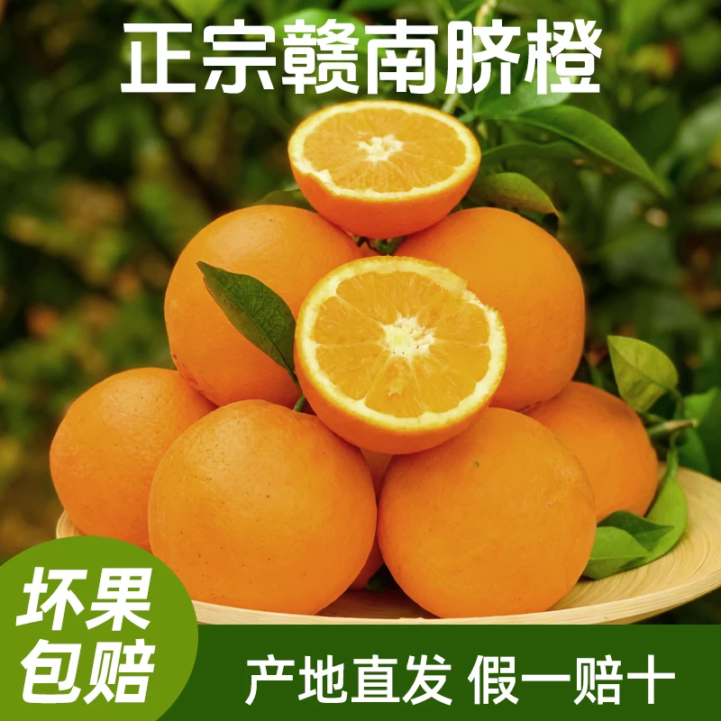 【达人专属】赣南特产正宗纽荷尔脐橙甜橙子新鲜当季孕妇榨汁水果
