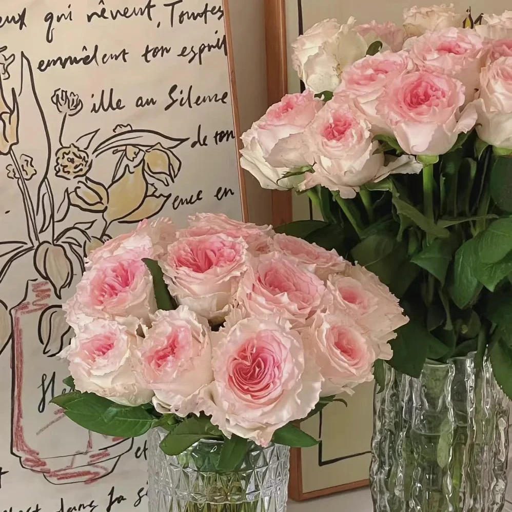 【洛神单头玫瑰10支】辽宁地区今天拍明天到，任意2单花花顺丰包邮