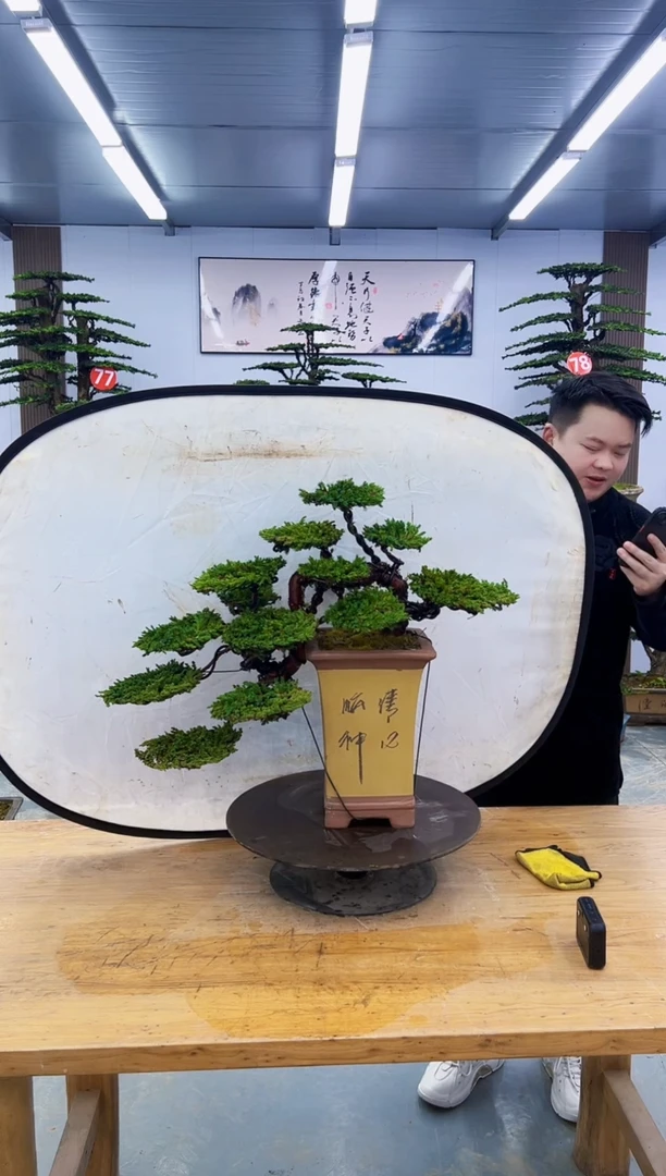 以实际为准000000000