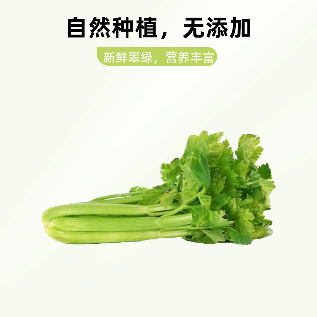 芹菜  约500g一份   绿色蔬菜 同城配送芹菜