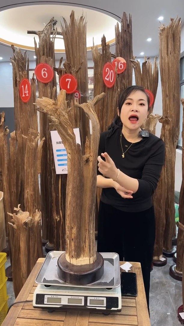 【闪购商品】沉香摆件沉香摆件17