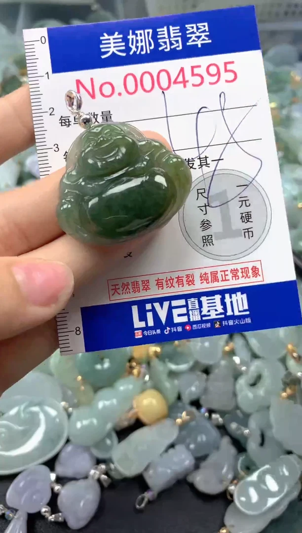 颈饰未镶嵌翡翠4595