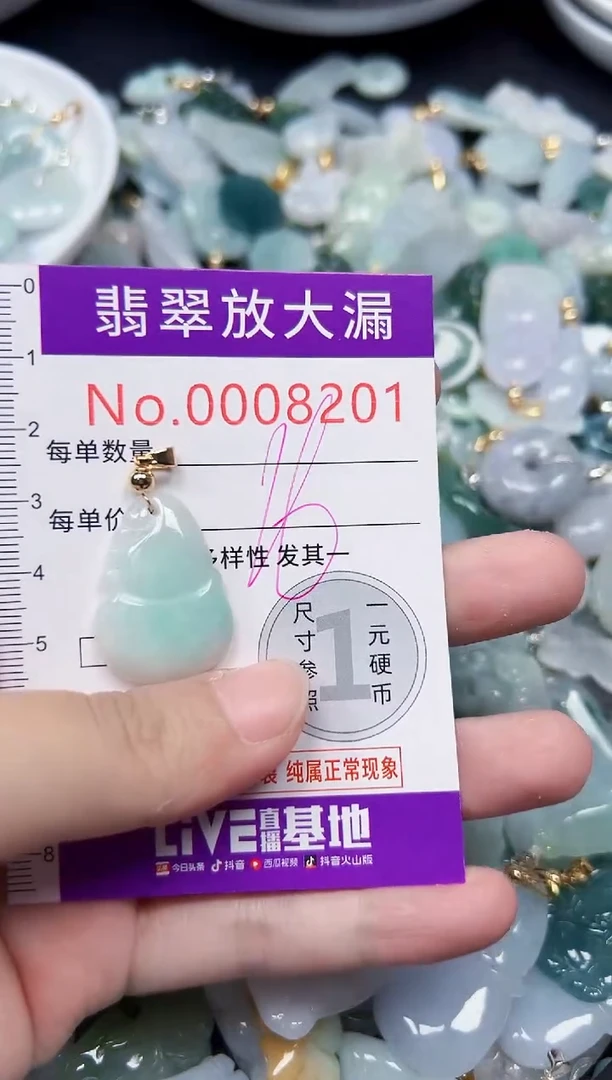 颈饰未镶嵌翡翠8201