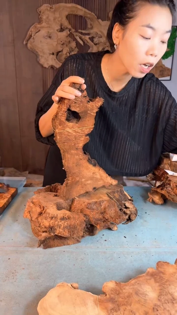 香杉木杉木瘤随型【原料】005