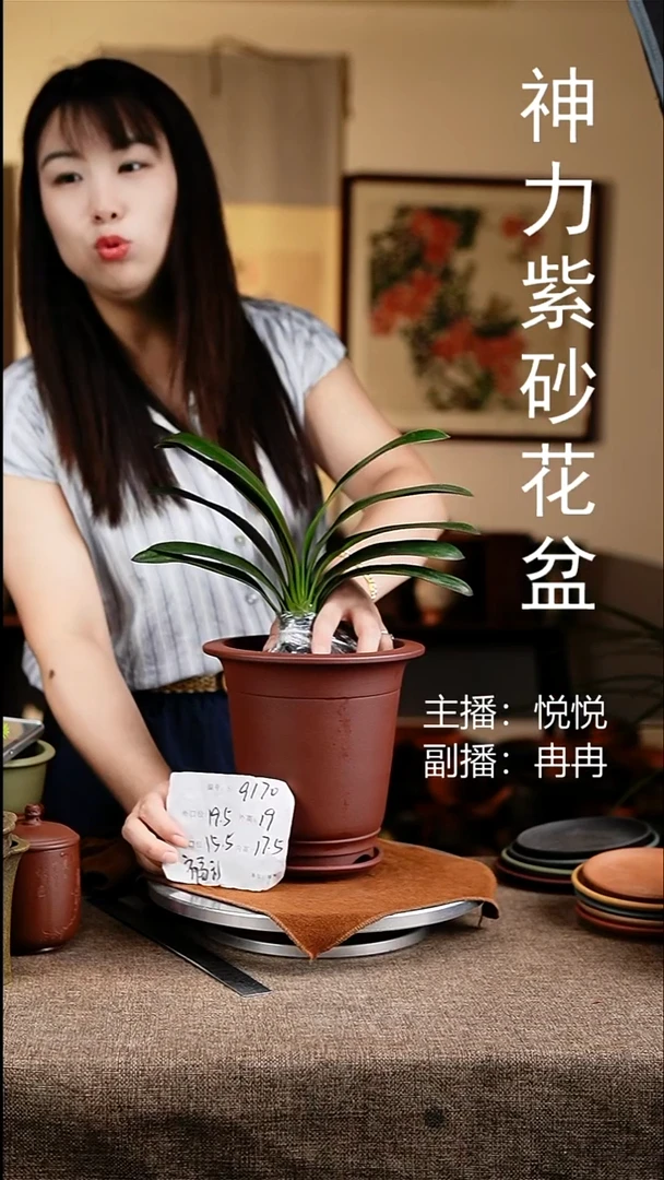 紫砂花盆花卉工艺9170+z