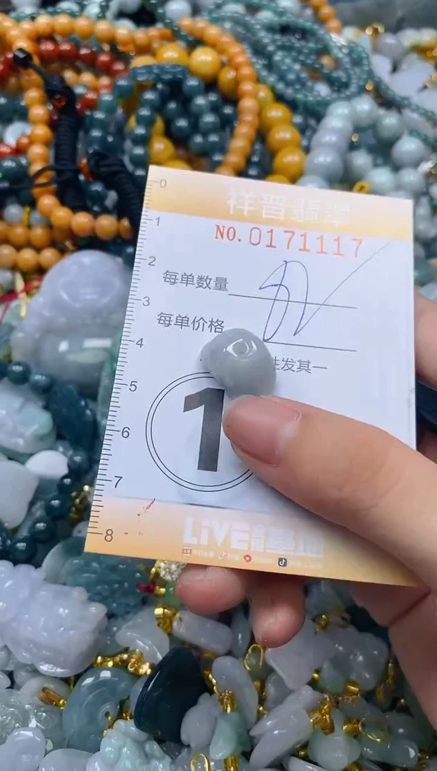 翡翠未镶嵌颈饰闪购0171117多样性发其一