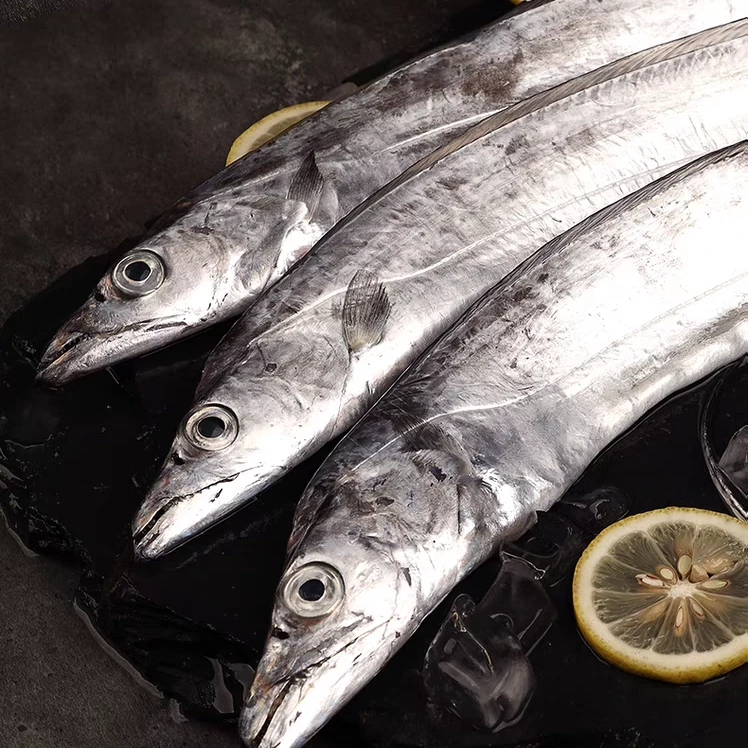 广东新鲜海捕带鱼1斤-2斤/条【2/4条，到手4斤】