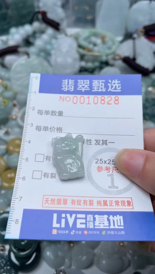 颈饰未镶嵌翡翠10828