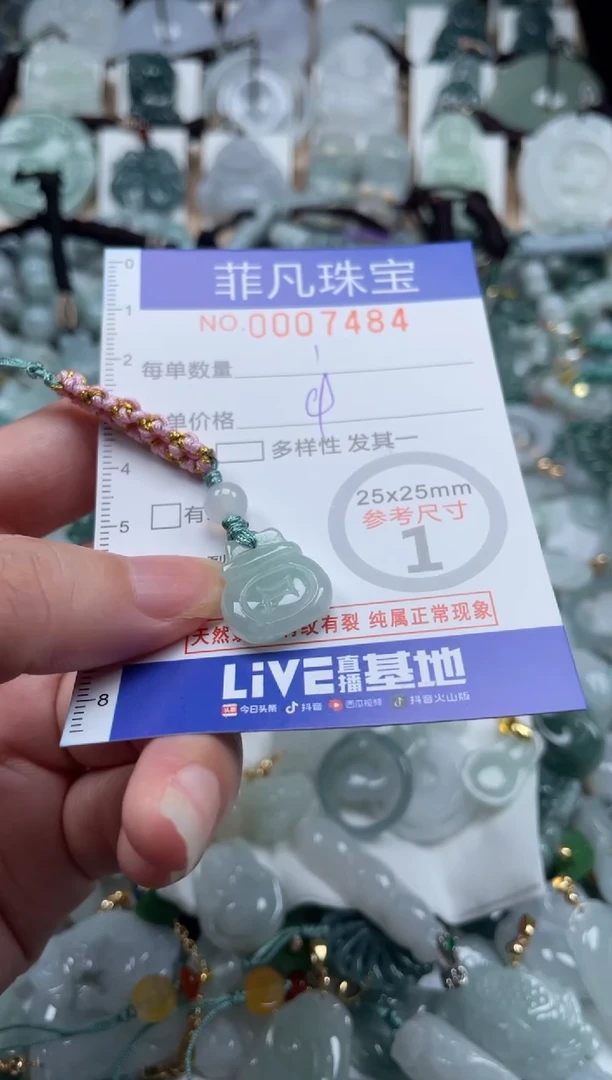 翡翠未镶嵌颈饰00..7484