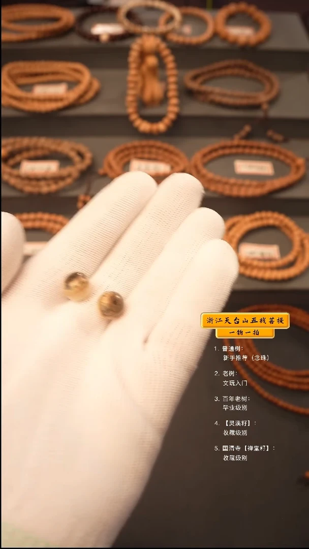 吊坠五线菩提手串