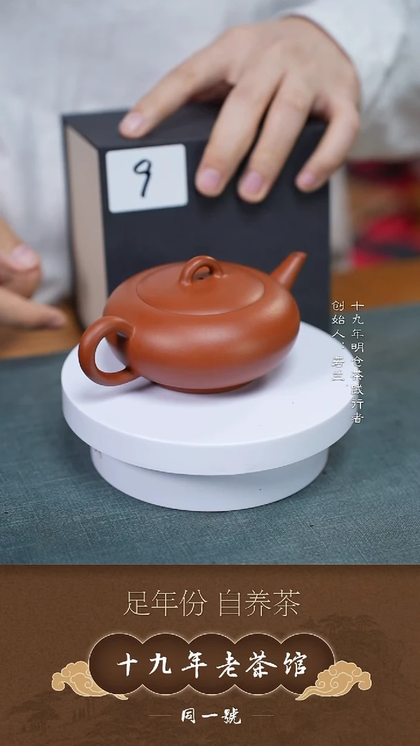 茶壶紫砂宜兴原矿紫砂壶9号