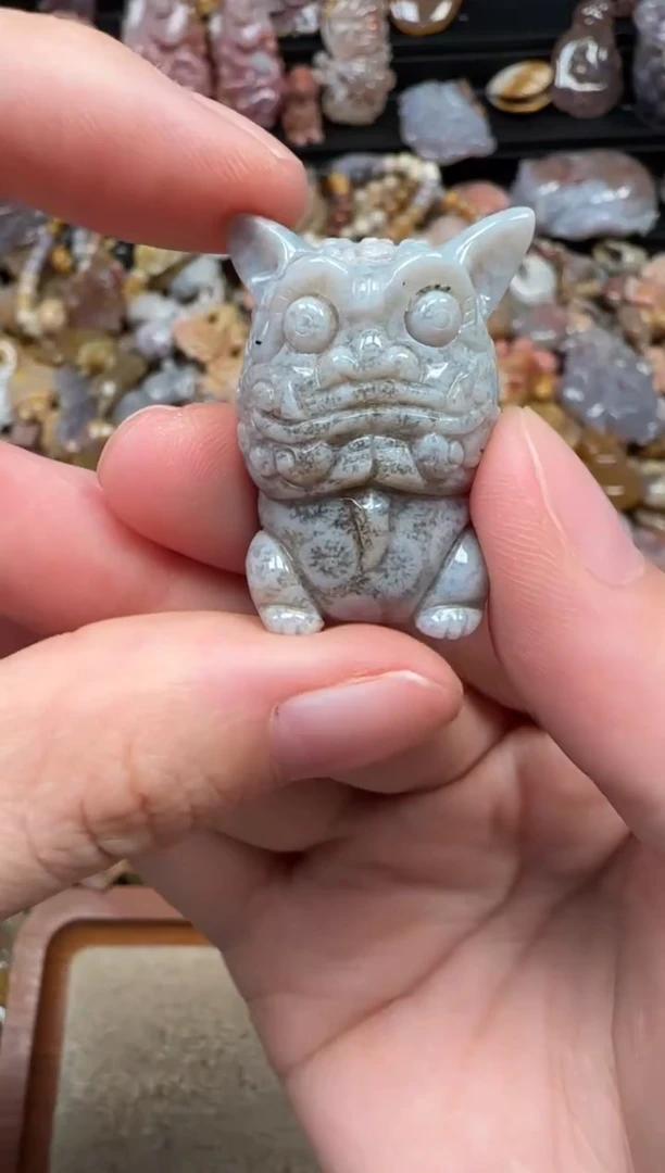 颈饰未镶嵌硅化珊瑚（珊瑚玉）526