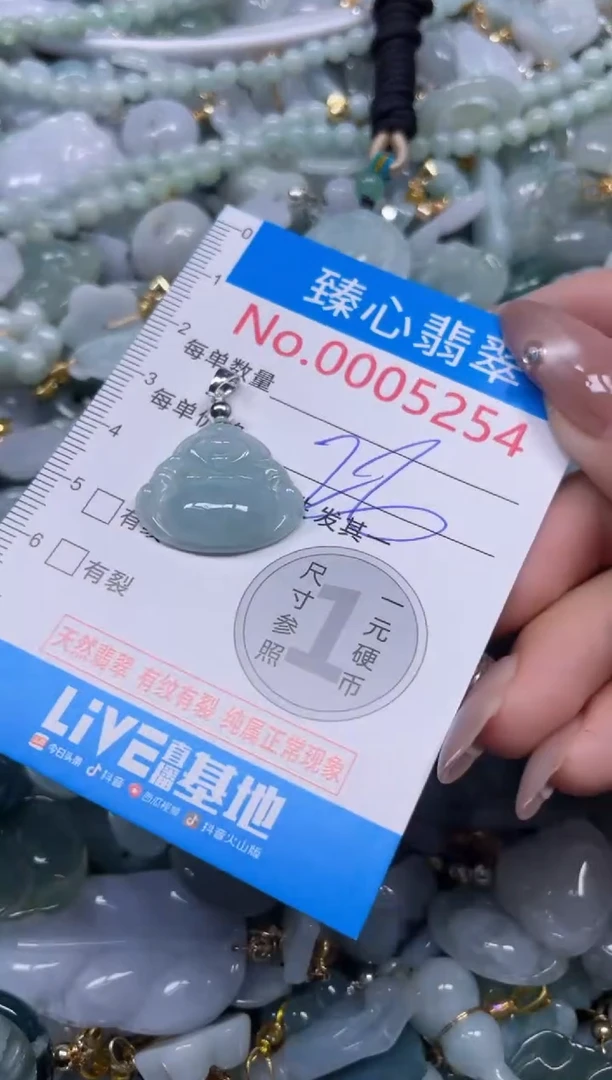 颈饰未镶嵌翡翠5254