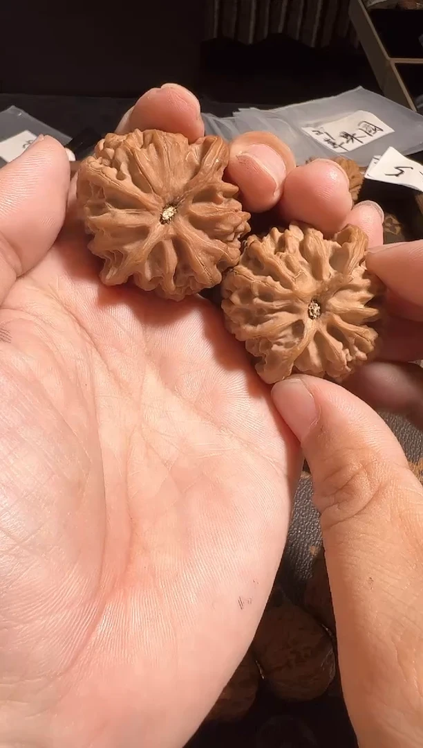 把件核桃41尺全品苹果园