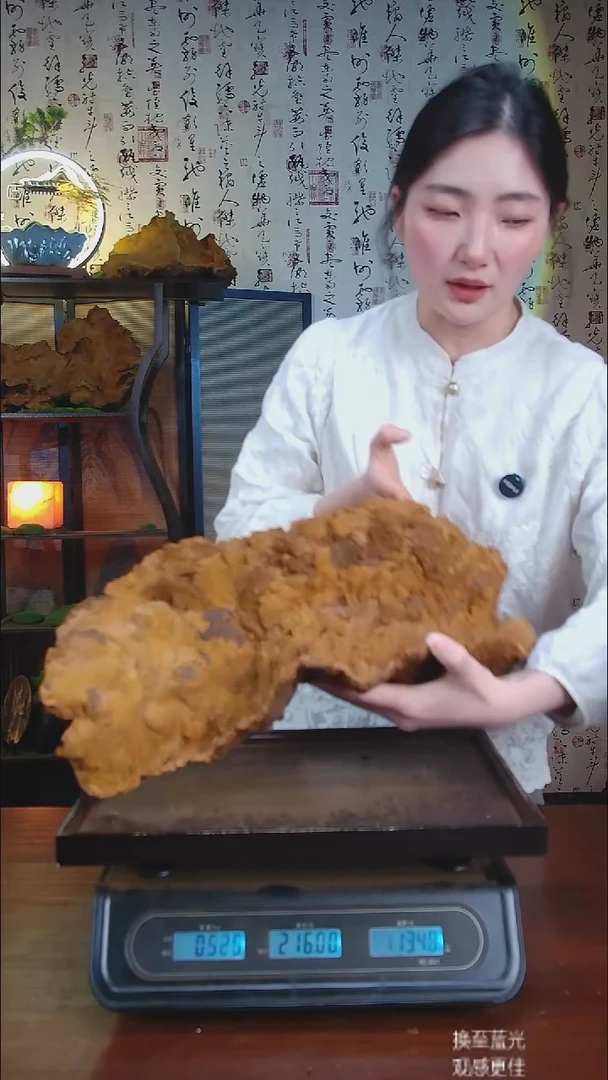 松针层孔菌中国大陆 【藏区 野生】松树桑黄（5.38斤）60-70年份