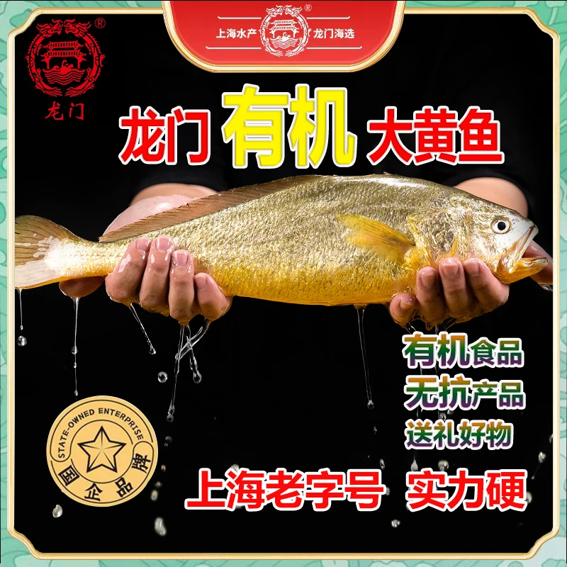 龙门水产 有机大黄鱼500g/条炸鱼