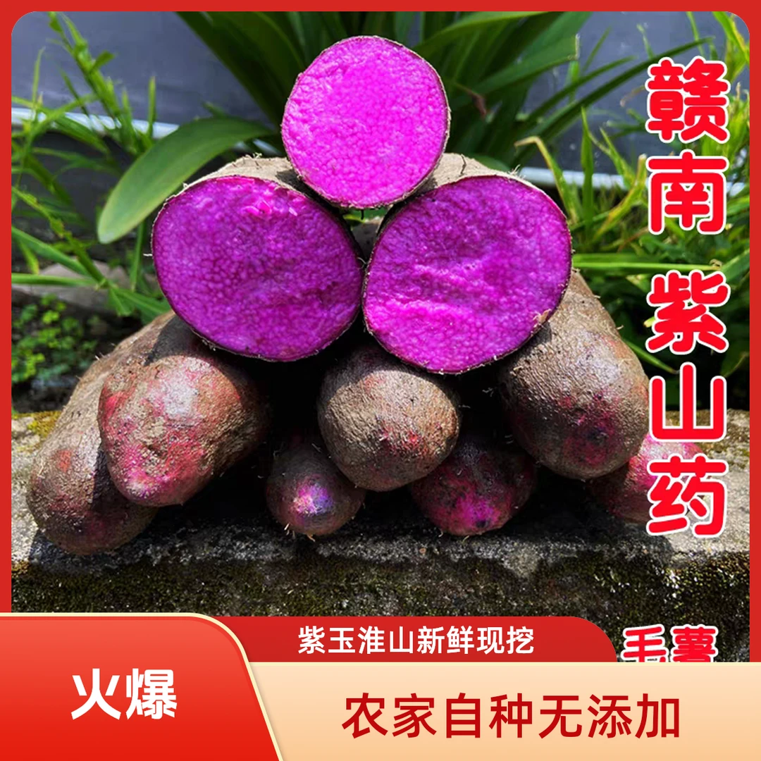 赣南紫山药新鲜3/5/9斤脚板薯紫参薯江西赣州紫淮山农产品蔬菜