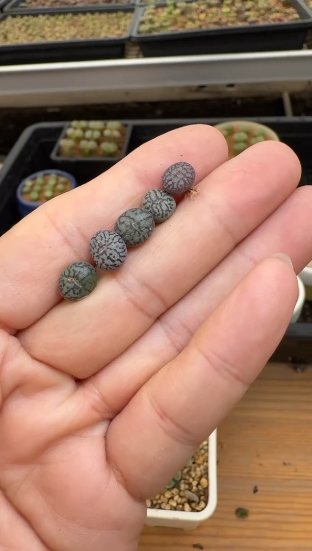 【闪购商品】22-24.