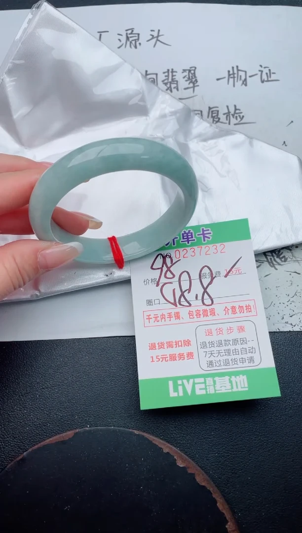 未镶嵌手镯翡翠32