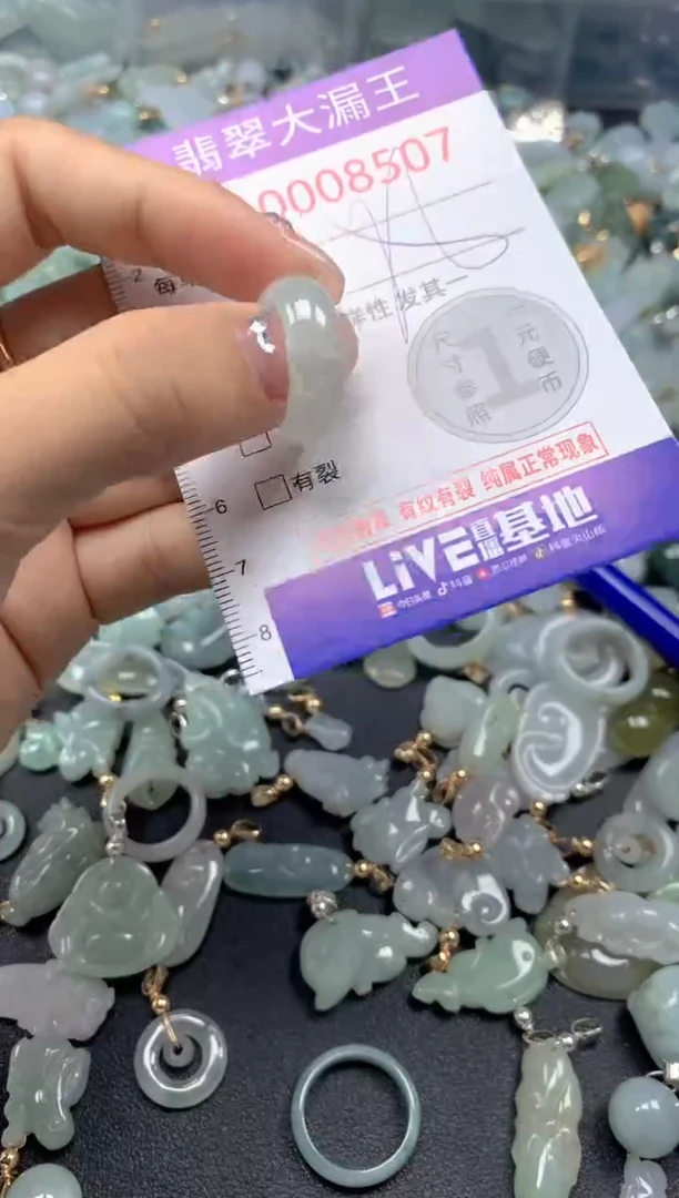 颈饰未镶嵌翡翠8507