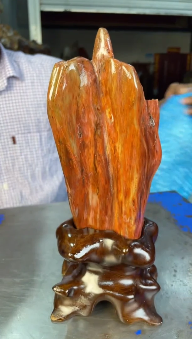 未镶嵌摆件硅化玉41