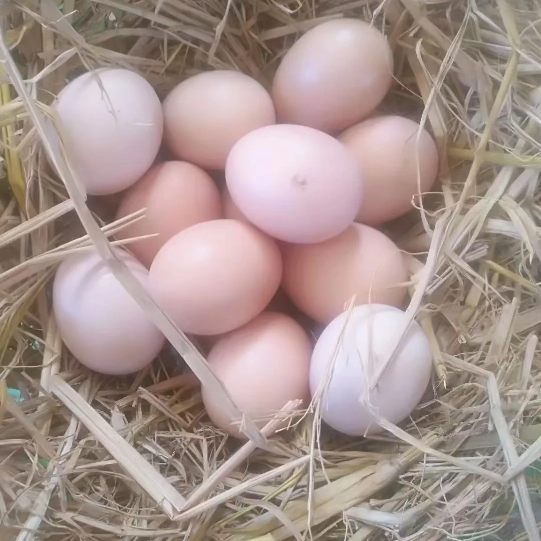 原生态鸡蛋、宝妈安心、小时候鸡蛋的香味  色泽金黄  每箱40枚
