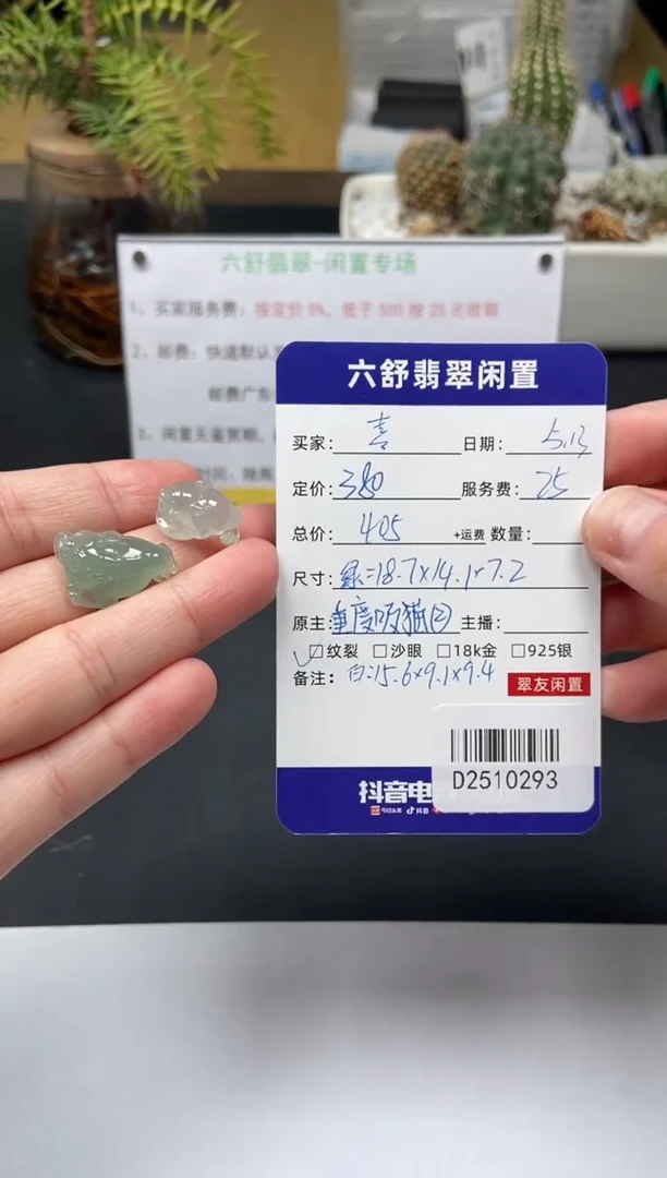 翡翠未镶嵌颈饰D2510293