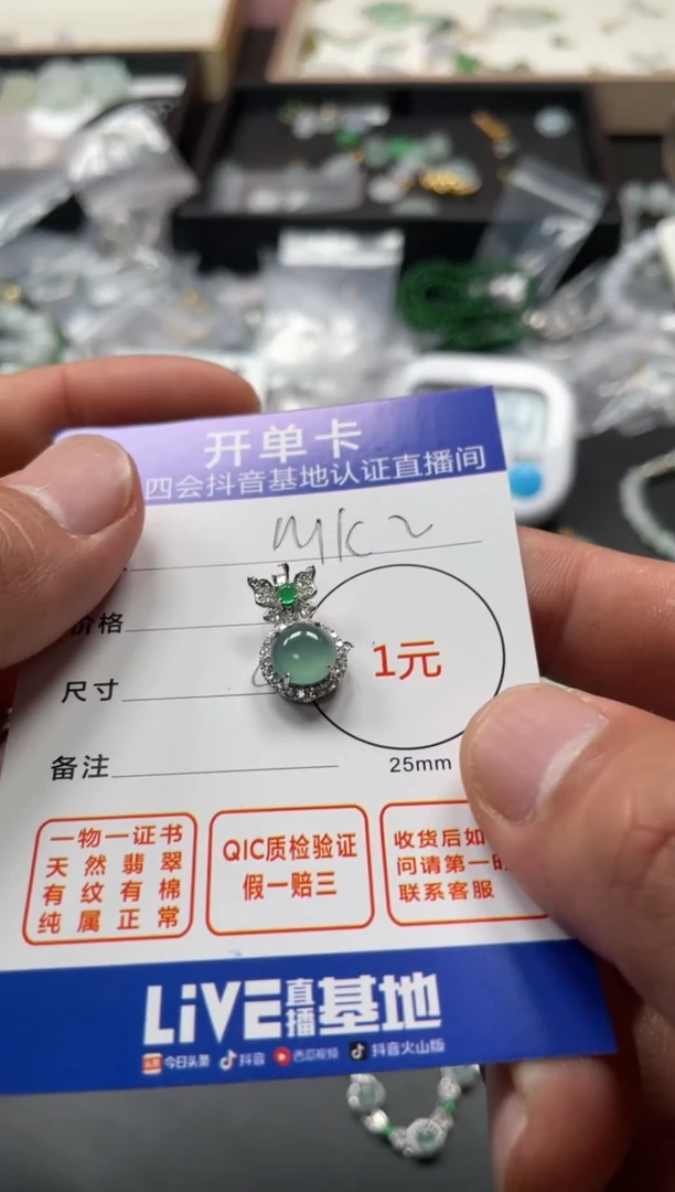 颈饰未镶嵌翡翠M**3挂件