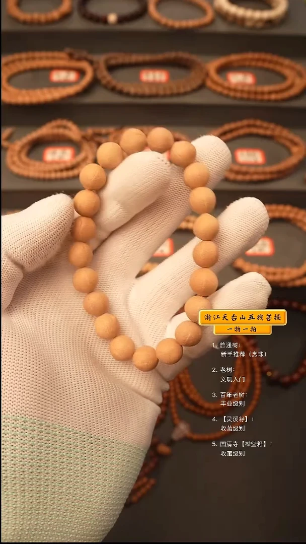 吊坠五线菩提y6线手串