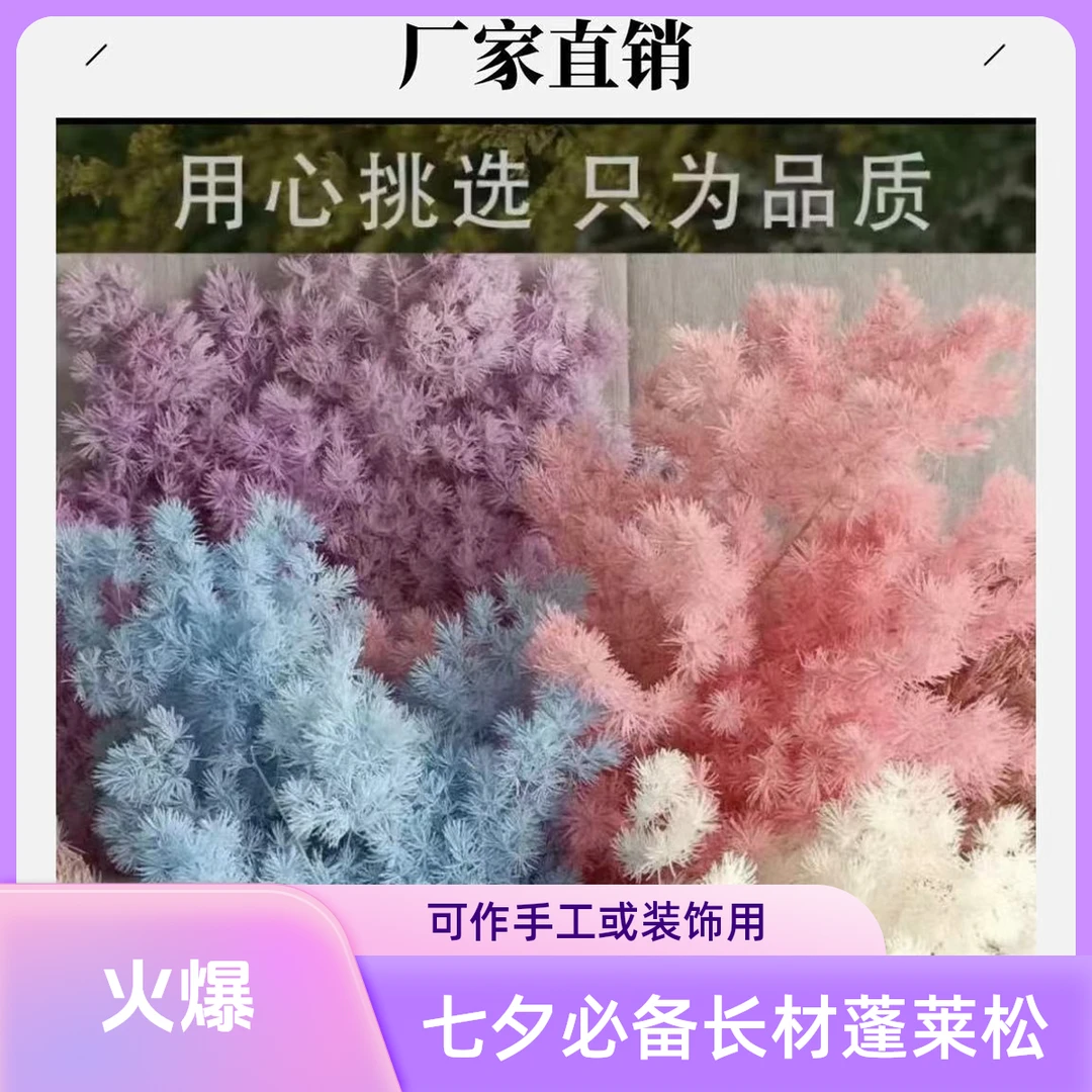 永生蓬莱松短枝20 - 40公分长度用于家居装饰及手工插花5支装