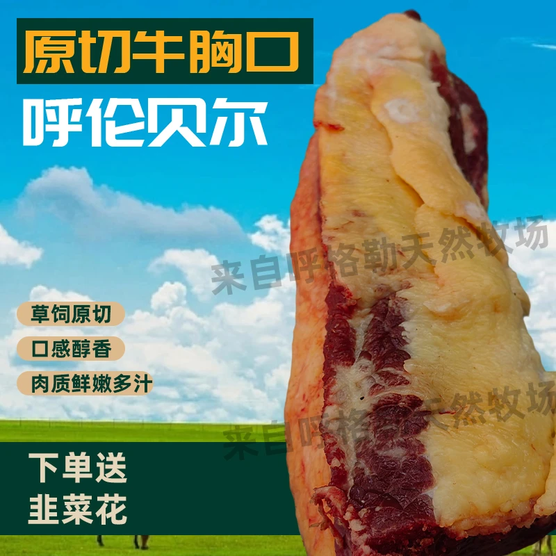 【呼伦贝尔南屯黄膘牛肉牛胸口】天然散养牛胸口 直播间称重