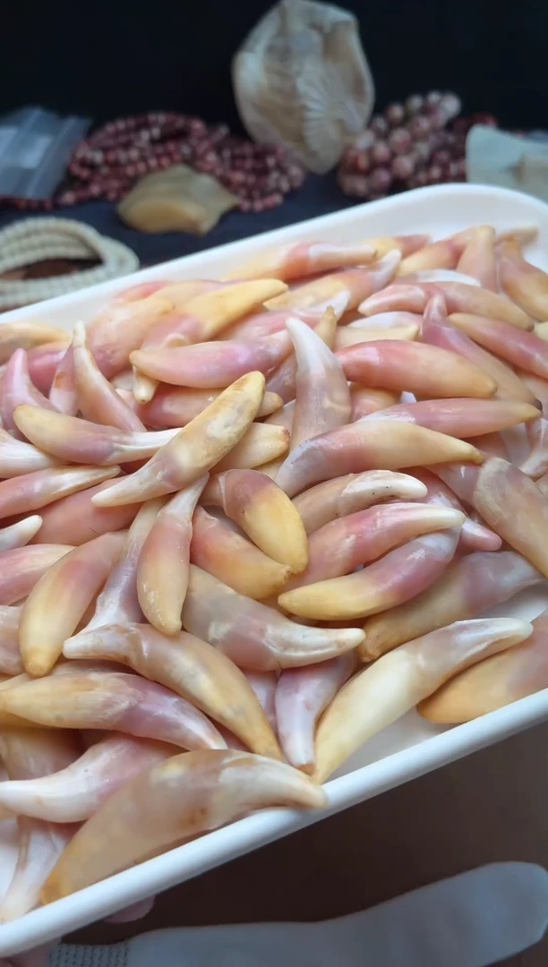 狗牙吊坠P1356-狗牙-血料