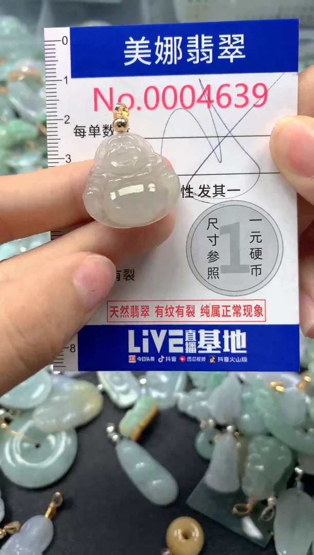 颈饰未镶嵌翡翠4639