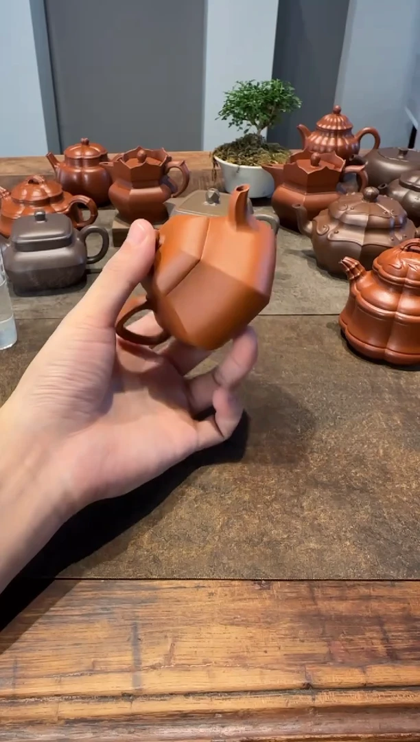 茶壶紫砂小***木金玉满堂